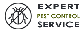 Expert Exterminator Co Maple Valley WA